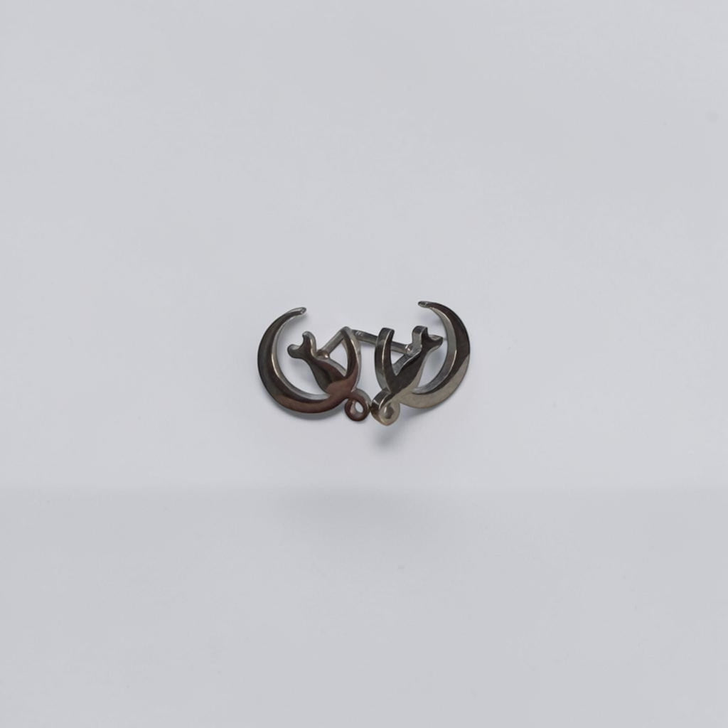 Cute Stainless Steel Animal Stud Earrings-Silver Cat On A Moon